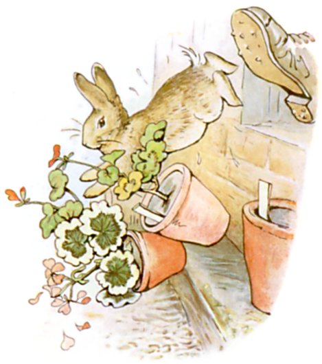 📖 The Tale of Peter Rabbit ③