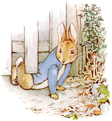 📖 The Tale of Peter Rabbit ②